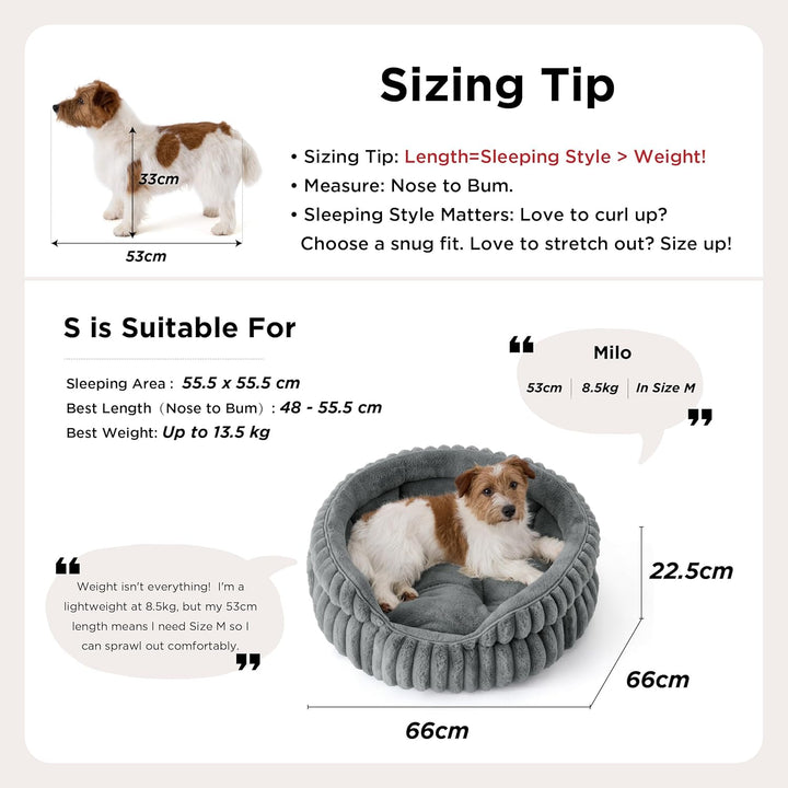 BEDSURE Flauschiges rundes Hundebett klein - 66 x 66 cm rundes Hundebett, waschbares grosses Katzenb
