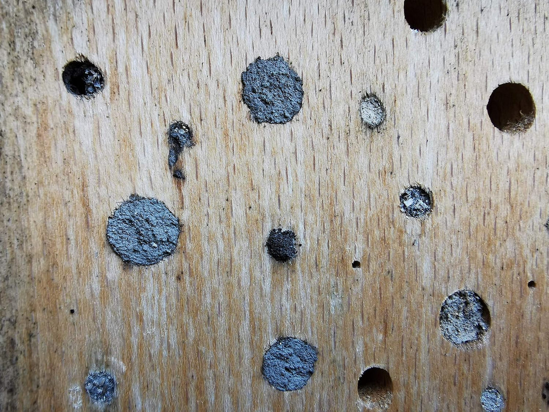 Insektenhotel/Bienenhaus/Nisthilfe aus Buche Massivholz für Wildbienen & solitär lebende Wespen