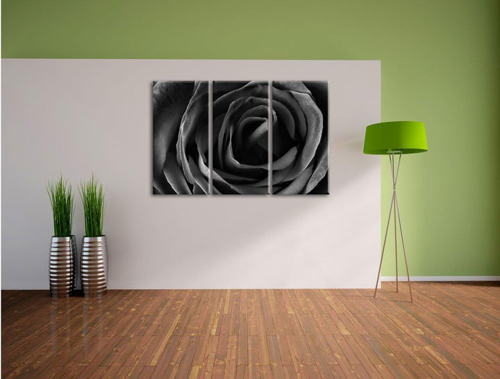Pixxprint Rote Rose als Leinwandbild/Grösse: 3 Teilig (120x80) cm/Wandbild/Kunstdruck/fertig bespann