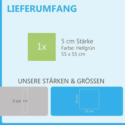 platino24 Akustikpaneele 1 Element Colore Quadrat 55 x 55 cm HellgrünI Schallabsorber aus Basotect ®