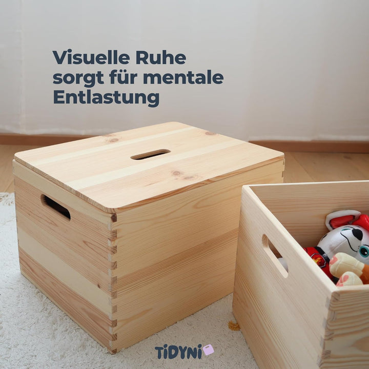 Spielzeugkiste mit Deckel aus Holz, schöne &amp; praktische Box für Spielzeug-Aufbewahrung im Kinderzimm