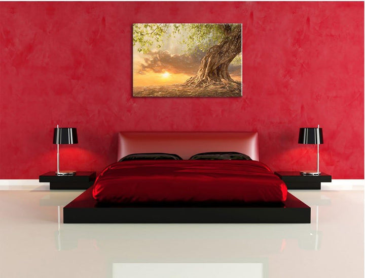 Pixxprint Verwurzelter starker Baum als Leinwandbild/Grösse: 100x70 / Wandbild/Kunstdruck/fertig bes