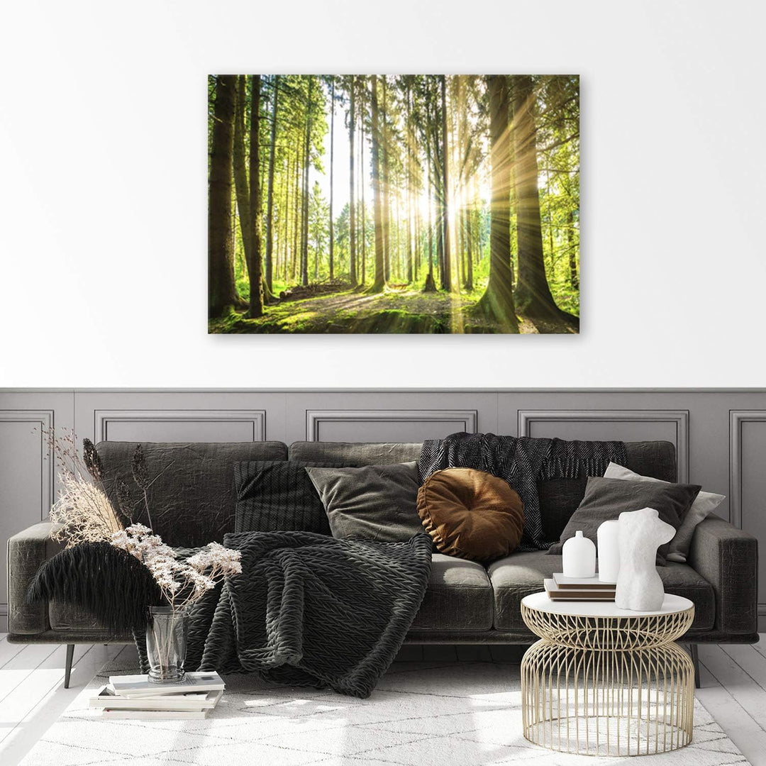 Feeby Bilder Wald Baum Sonne 70x50 cm Wohnzimmer Schlafzimmer Büro Flur Küche Wandbilder Modern Bild