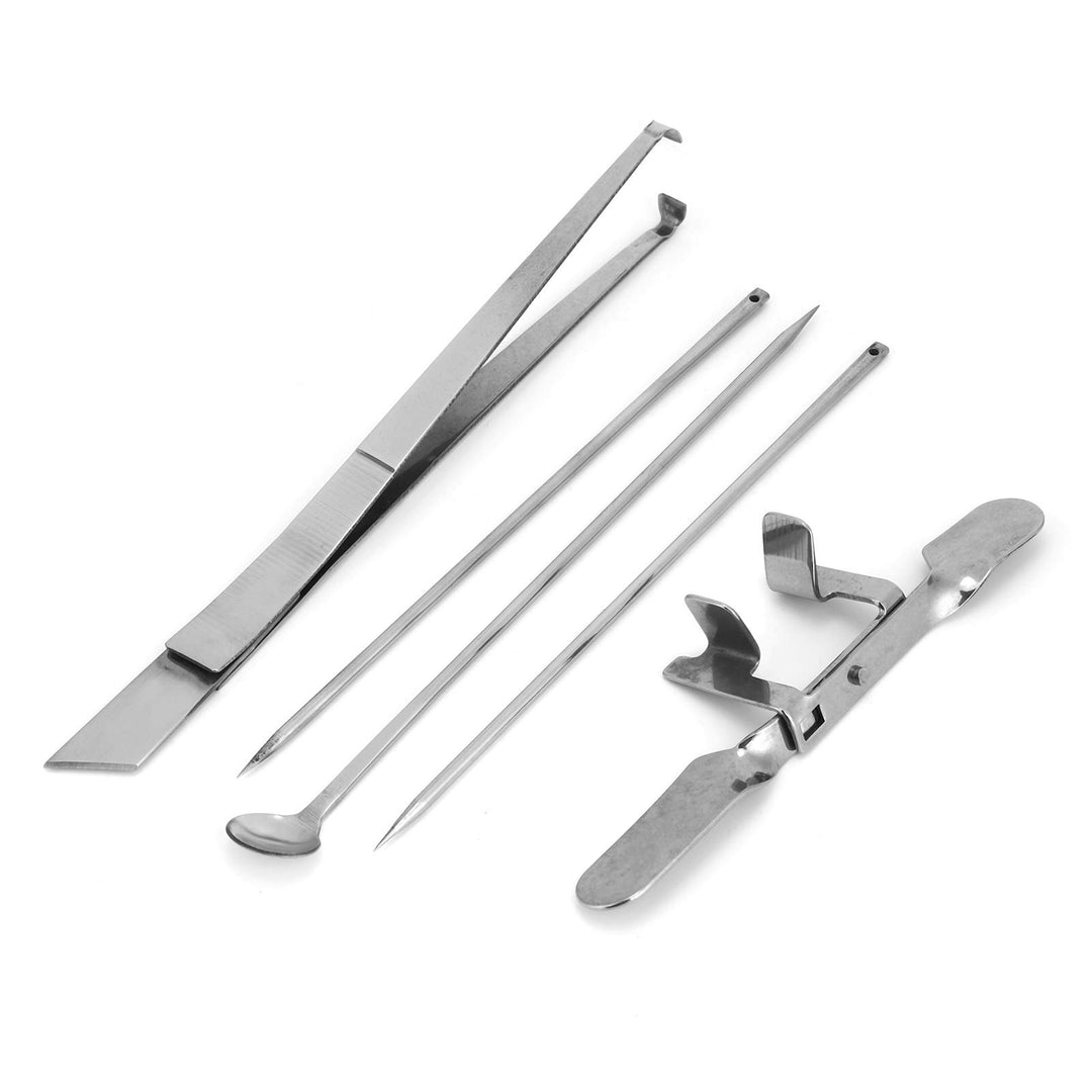 5 Stück Capon Knife Tool Edelstahl Kastration Huhn Tool Kit Geflügelfarmen Veterinärinstrument für H