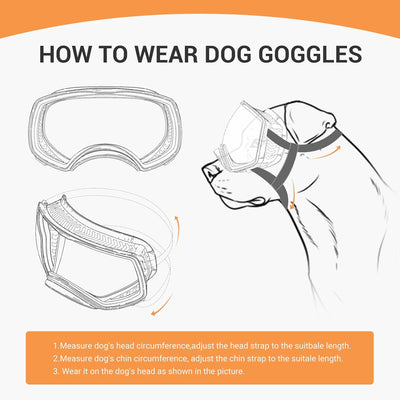 PETLESO Hundebrille Winddichte Hunde Sonnenbrille Hund Schutzbrille mit Verstellbare Band Geeignet f