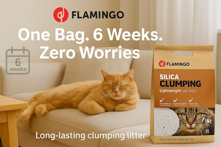 Flamingo Katzenstreu – neutraler Duft – Kohlegranulat – 5 l für 6 Wochen – Herkunft aus Kanada – neu