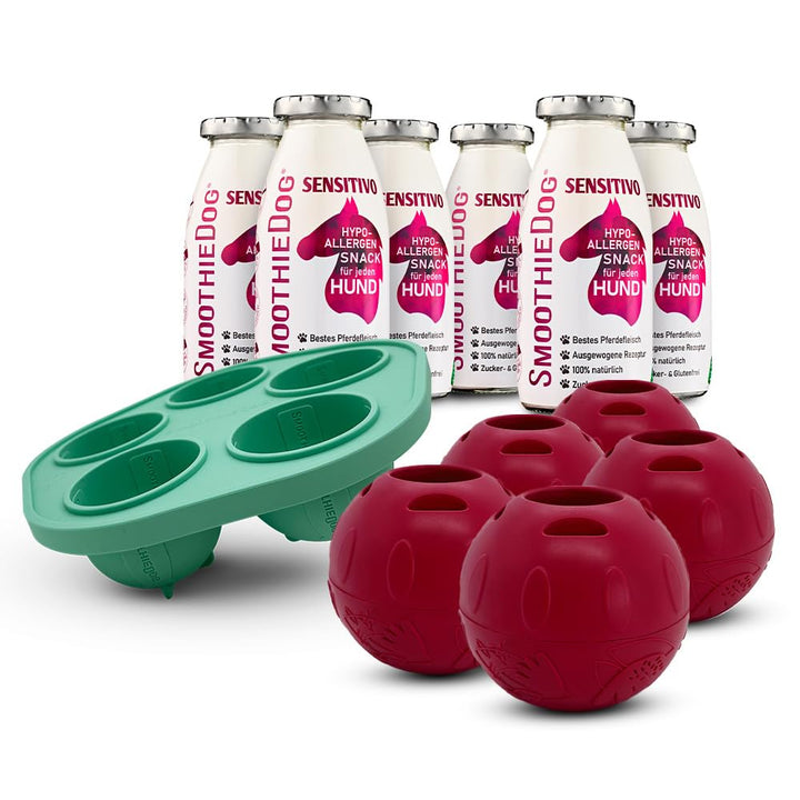 SmoothieDog Schleckball-Set + 4 Schleckbälle Hundesmoothie 6er Sensitivo (250ml) - Schleckball für H