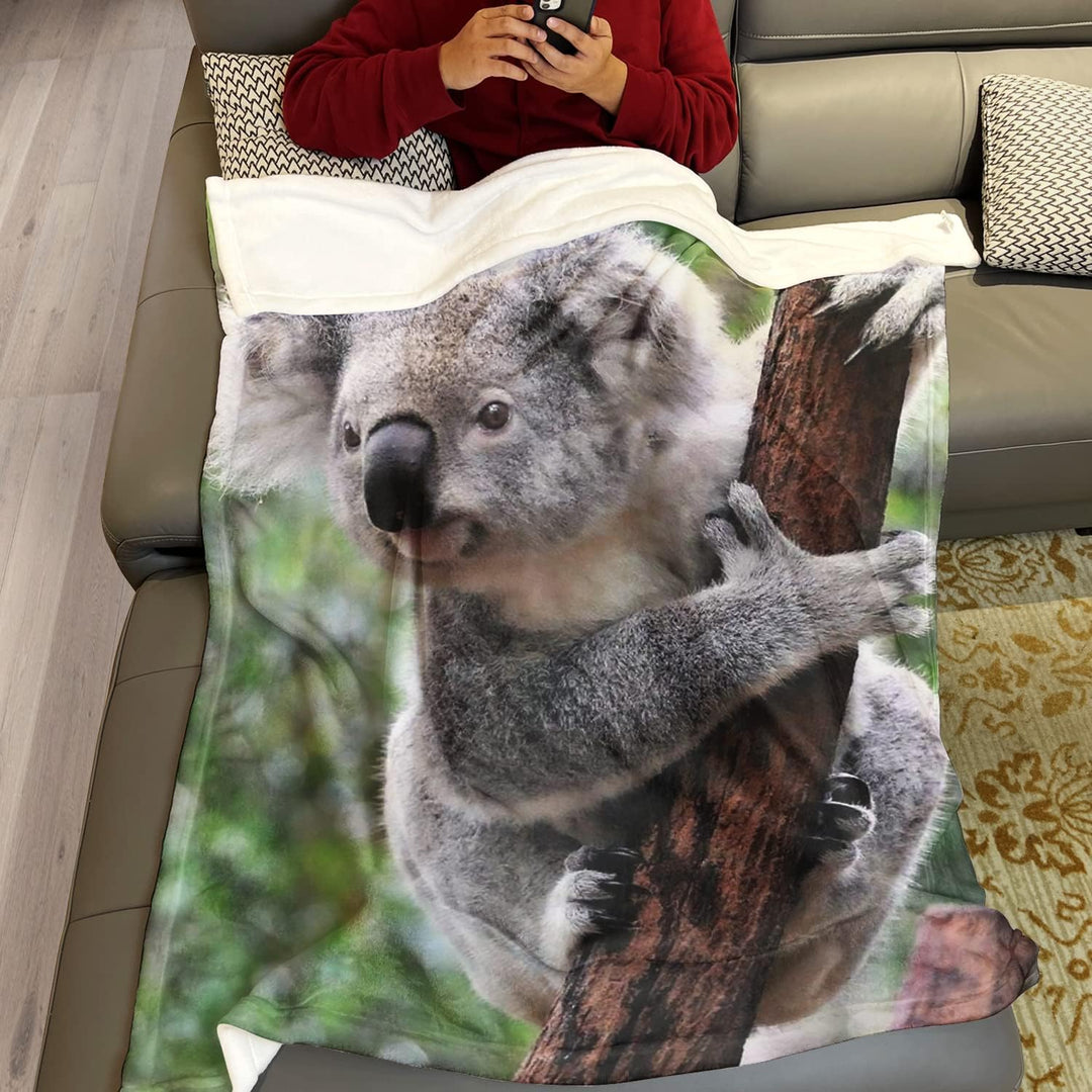 Zomer Kuscheldecke,Koala,125x150cm,Grau,Flauschige Decke Mikrofaser Fleecedecke Weiche &amp; Warme Sofad