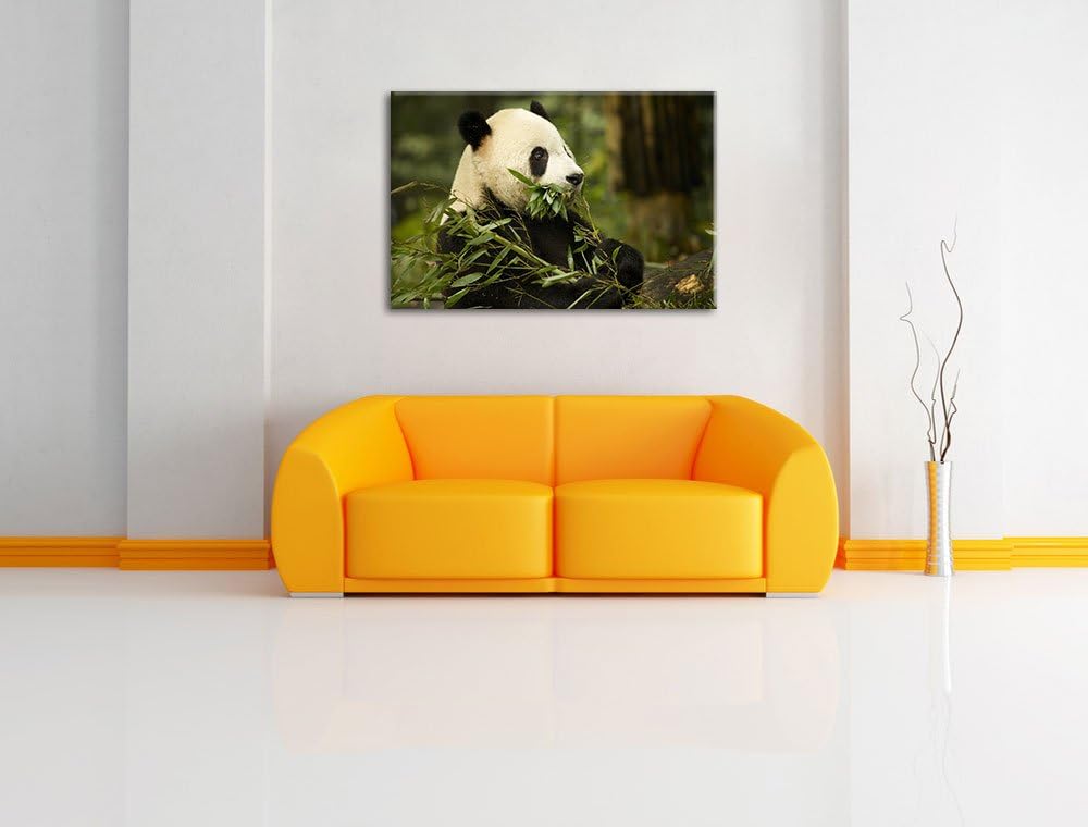 Pandabär beim Fressen Leinwand, XXL riesige Bilder fertig gerahmt mit Keilrahmen, Kunstdruck auf Wan
