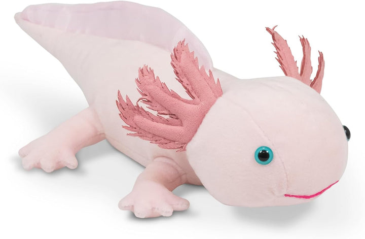 Axolotl