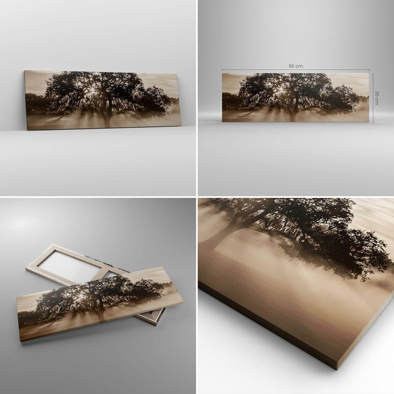 Panorama Bilder auf Leinwand Baum Feld Natur Leinwandbild mit Rahmen 90x30cm Wandbilder Dekoration W