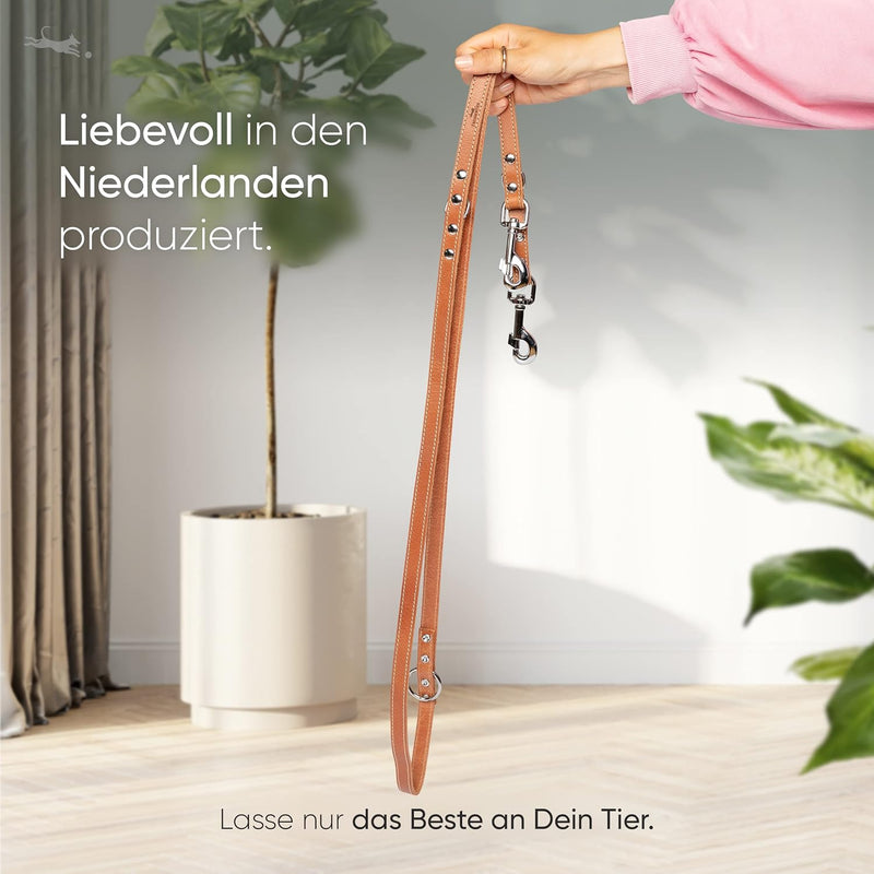 FREUDENTIER Hundeleine aus zertifiziertem Leder 2m, 3-Fach verstellbare Führleine, liebevoll in Holl