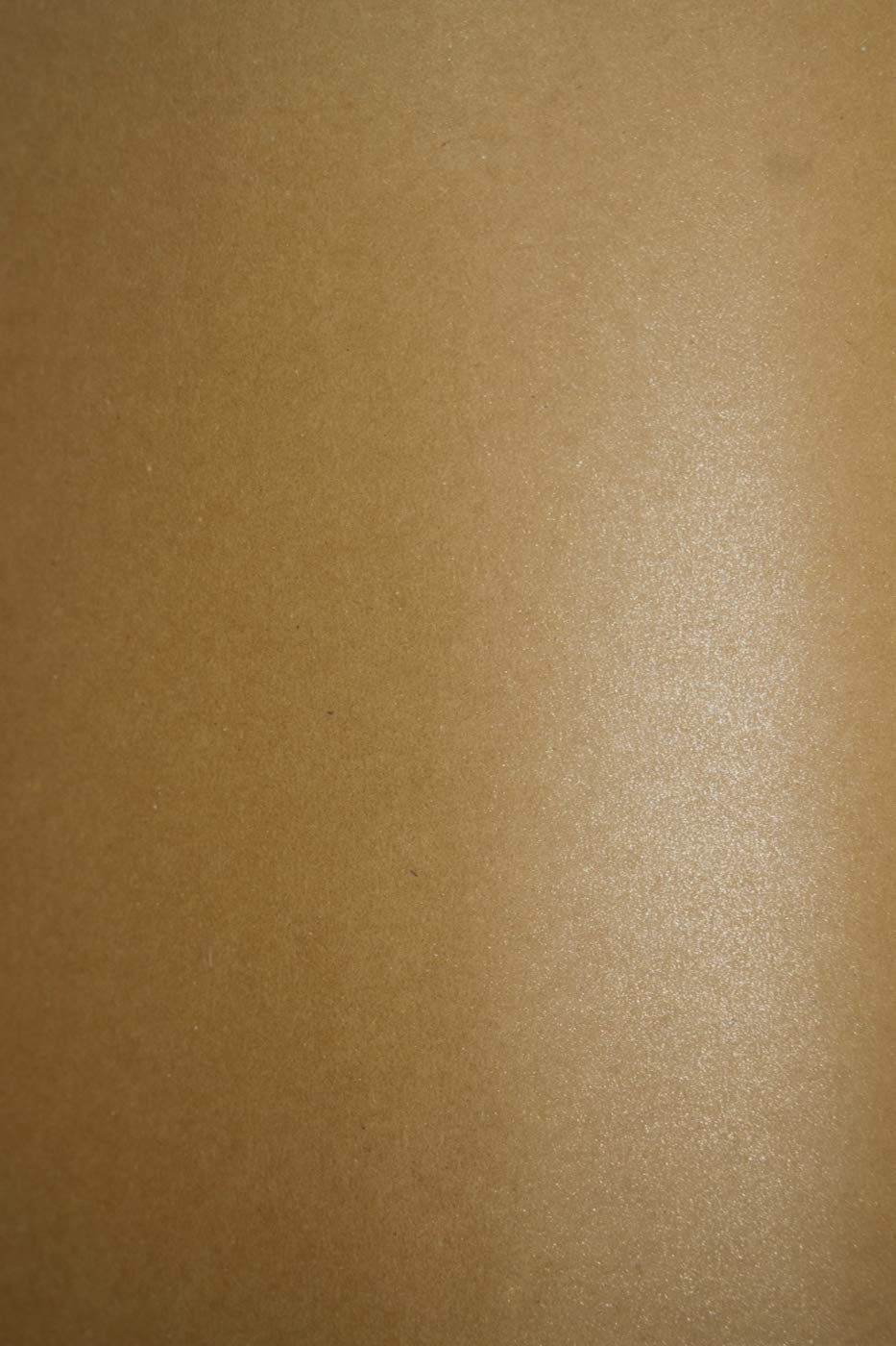 Netuno 100x Bastelkarton Kraft mit Glitzer DIN A4 210x 297 mm 300g Aster Metallic Rustic Coop Dust K