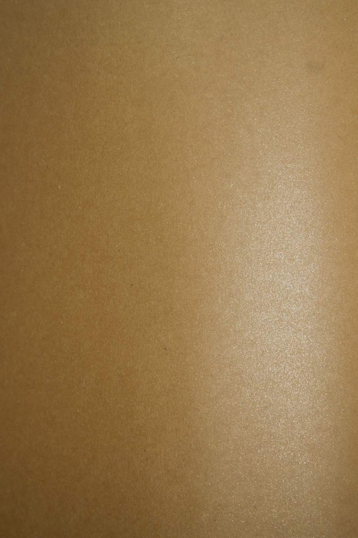 Netuno 100x Bastelkarton Kraft mit Glitzer DIN A4 210x 297 mm 300g Aster Metallic Rustic Coop Dust K