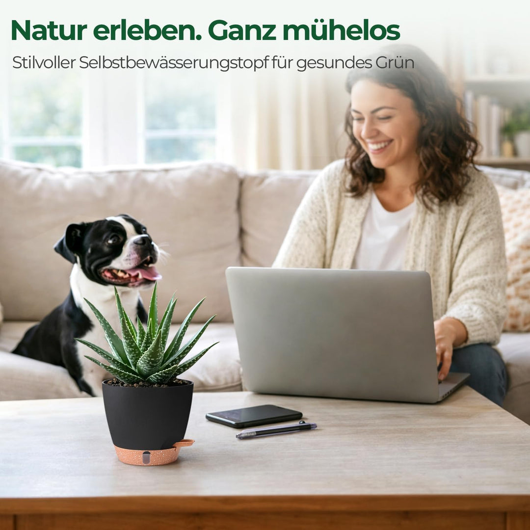 T4U 15cm 4er Set Selbstbewässernder Kräutertopf für Fensterbank & Küche – Basilikum, Petersilie, Sch