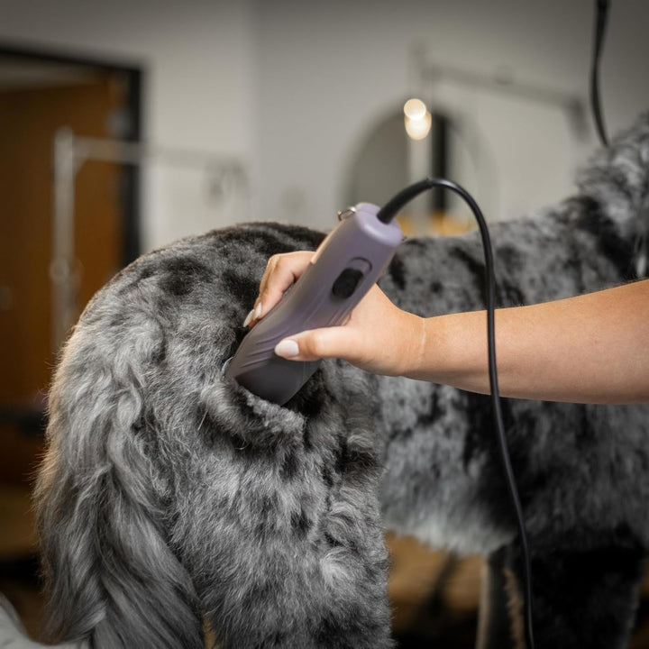 Agrarzone Edition Wahl KM10+ Hundeschermaschine mit Aufsteckkamm-Set - Profi Schermaschine Hund &amp; Ka