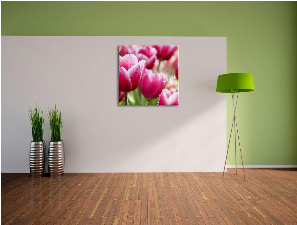Pinke Tulpen mit Morgentau, Format: 70x70 auf Leinwand, XXL riesige Bilder fertig gerahmt mit Keilra