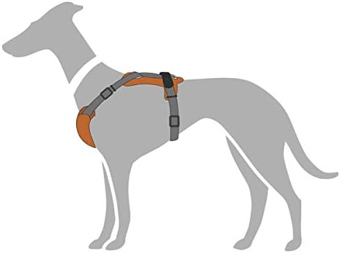 HUNTER AALBORG MIXED Hundegeschirr, M, oliv/grau, 56 - 81 cm oliv/grau 56 - 81 cm, oliv/grau 56 - 81