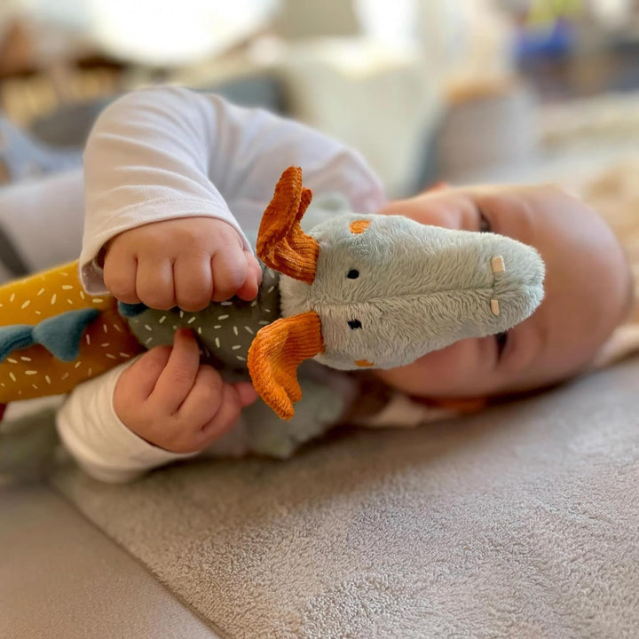 sigikid 43228 Babyspielzeug, Mehrfarbig/Klett-Drache, Mehrfarbig/Klett-drache