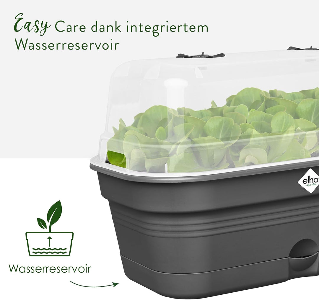 elho Green Basics Anzucht Schale Allin1 32 - Anzuchtset - 100% recyceltes Plastik - Ø 32.0 x H 13.2