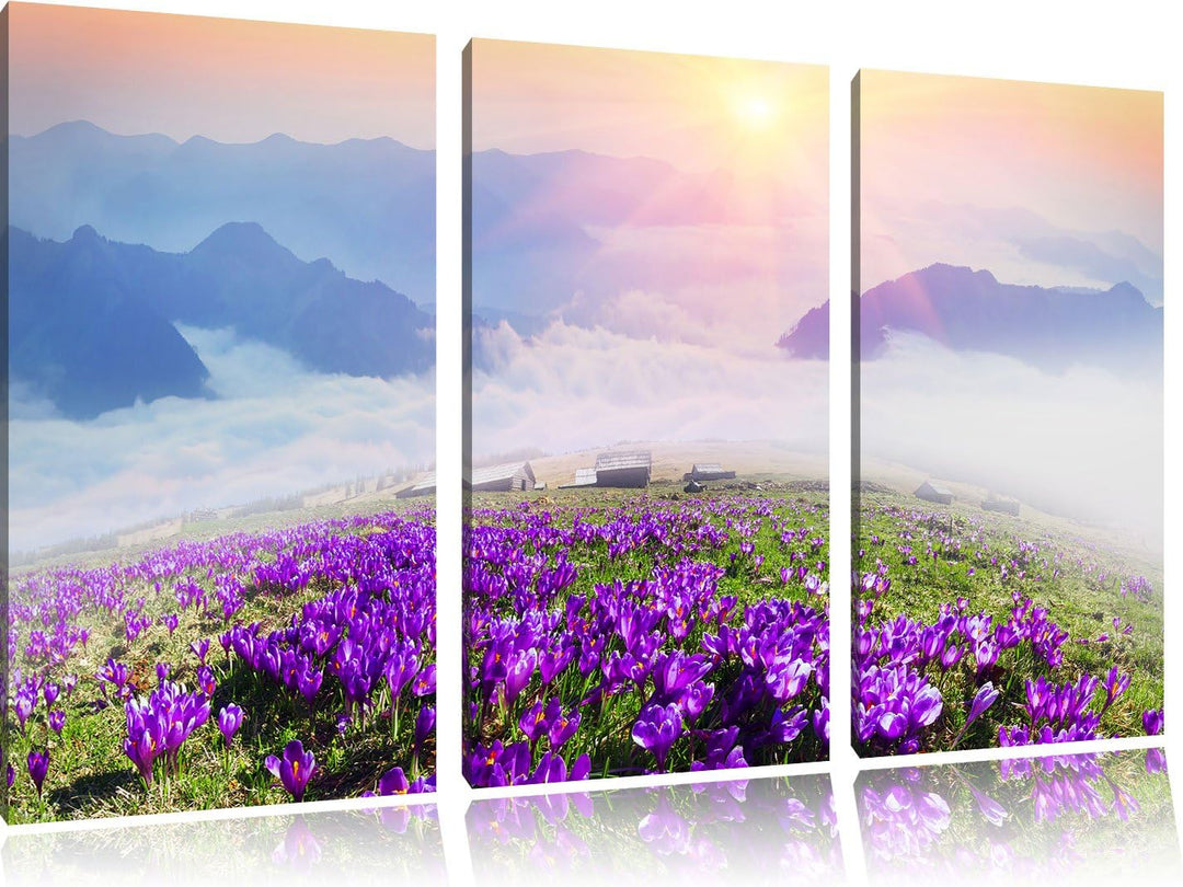Pixxprint Krokusse in den Bergen als Leinwandbild/Grösse: 3 Teilig (120x80) / Wandbild/Kunstdruck/fe