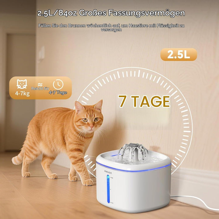 Trinkbrunnen für Katze, 2,5L Katzenbrunnen Leise mit 8 Ersatzfiltern und LED-Wasserstandsfenster für
