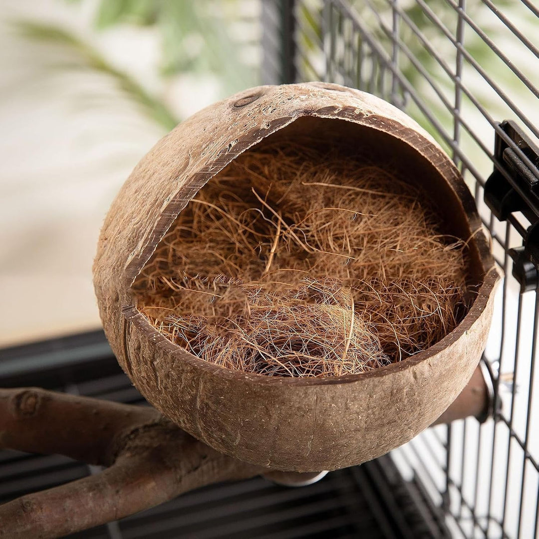 Vogelnest Aus Natürlichem Kokosnuss Muschel | Kokos Gehäuse Vogel Nest Mit Zweigen Und Kokosraspeln