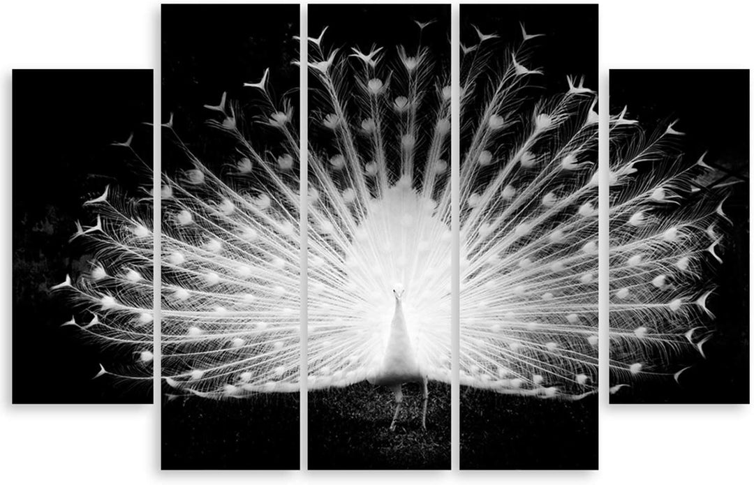 Feeby. Leinwandbild - 5 Teile - Bilder, Wand Bild, Wandbilder, Kunstdruck XXL, 5-Teilig, Typ B, 200x