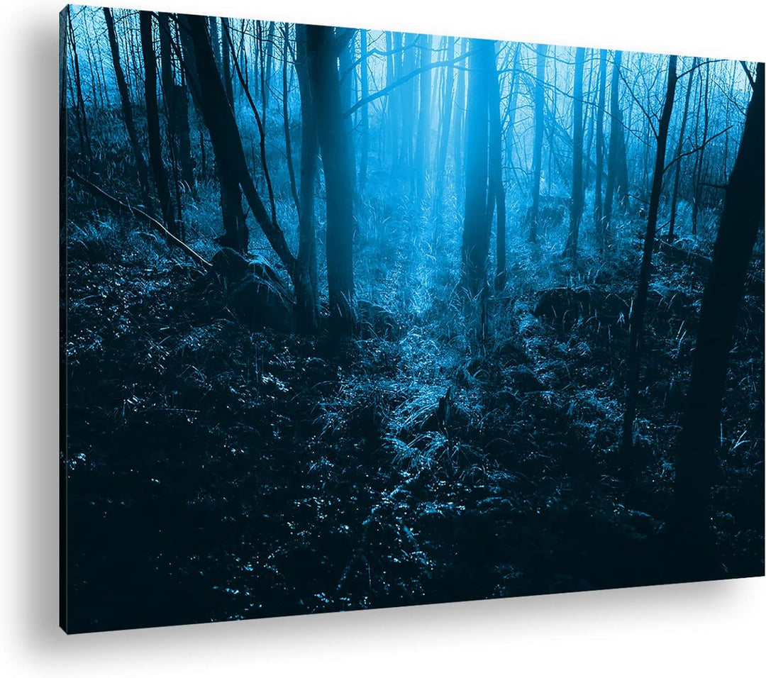 deyoli Dunkler Wald Format 60x40 Effekt: Monocrome Blau als Leinwandbild, Motiv fertig gerahmt auf E