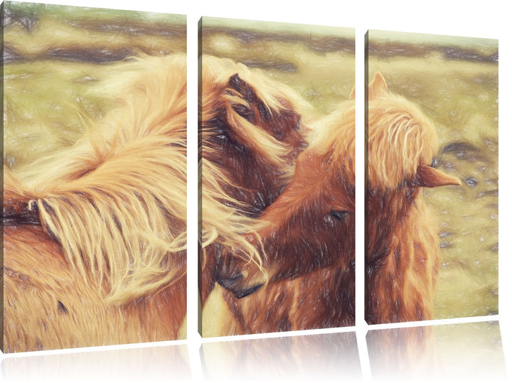 Pixxprint Islandpferde Pony als Leinwandbild 3 teilig/Grösse: 3 Teilig (120x80) / Wandbild/Kunstdruc