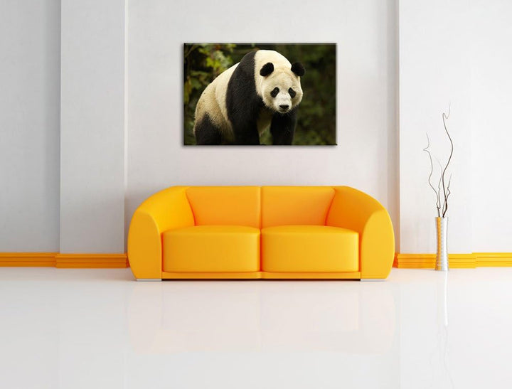 Pixxprint grosser Pandabär Leinwand, XXL riesige Bilder fertig gerahmt mit Keilrahmen, Kunstdruck au