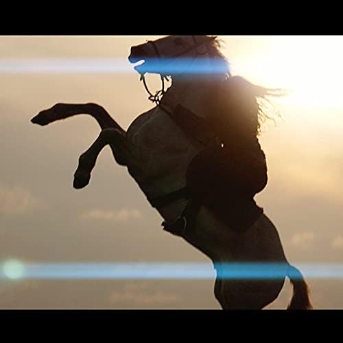 SIRUI 75mm f1.8 1.33x APS-C Anamorphes Prime Objektiv Objektive Lens Lenses Modell SR75(MFT Mount),