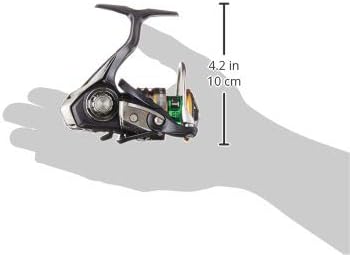 Daiwa Exceler LT Spinning Angelrolle mit Frontbremse, 10415-105 1000D