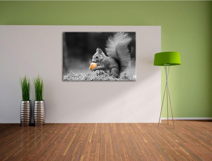 niedliches Eichhörnchen mit Nuss schwarz/weiss Format: 100x70 auf Leinwand, XXL riesige Bilder ferti