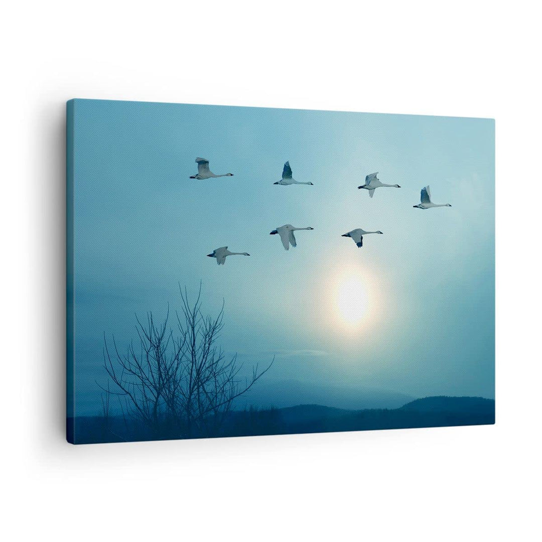 Bilder auf Leinwand Storch Vogel Natur Leinwandbild mit Rahmen 70x50cm Wandbilder Dekoration Wohnzim