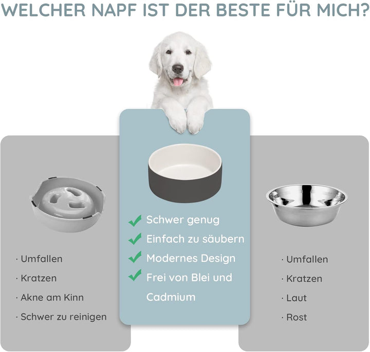 SPUNKYJUNKY Keramik Hundenapf Fressnapf Futternapf Katzennapf Napf für Katzen und Hunde (400ml, Weis