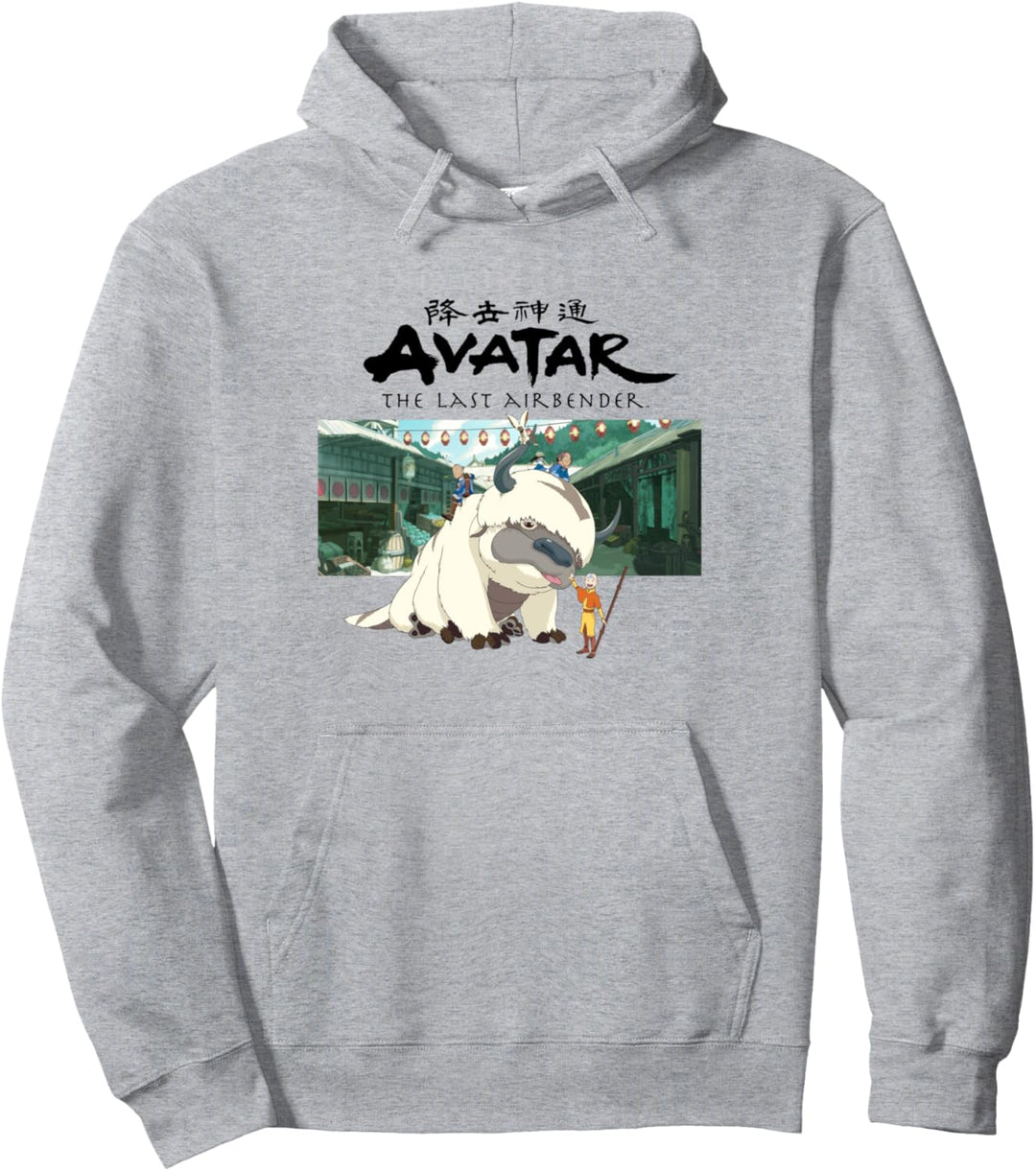 Avatar: The Last Airbender Group Shot City Panel Pullover Hoodie