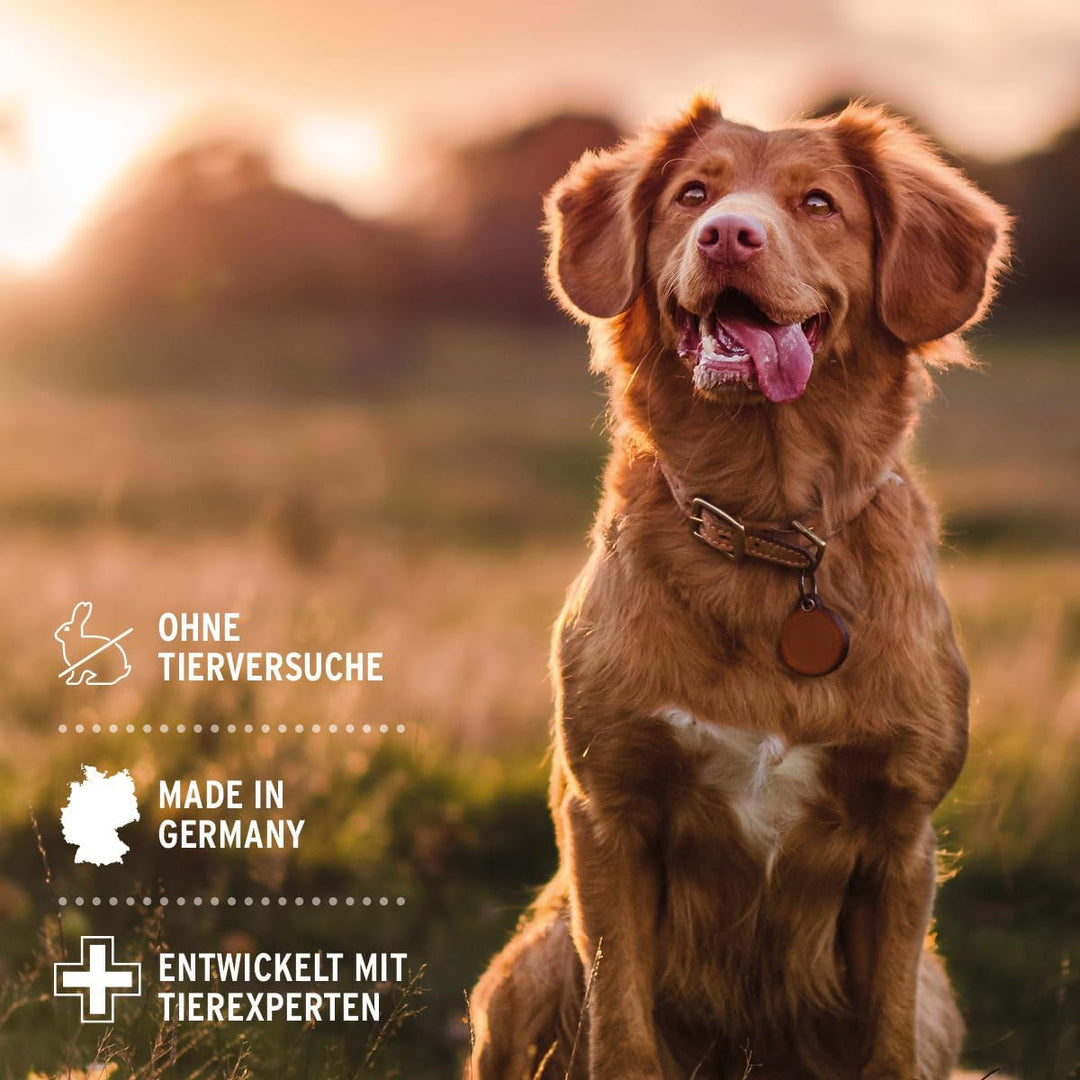 AniForte Fellharmonie Conditioner für Hunde 200ml - Spülung für Hunde mit Kokosöl & Aloe Vera, für L