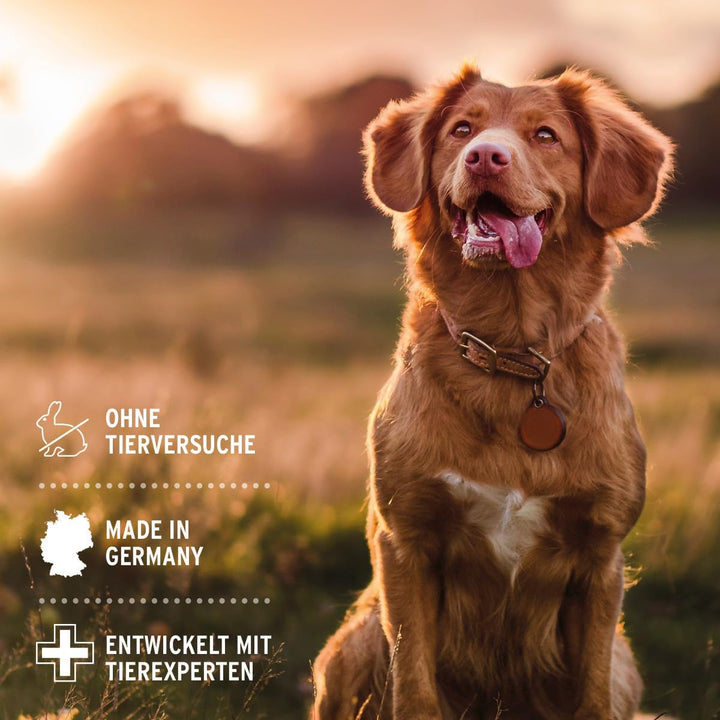 AniForte Fellharmonie Hundeshampoo mit Kokosöl & Aloe Vera 200ml – Pflegeshampoo für Hunde, Vitale H