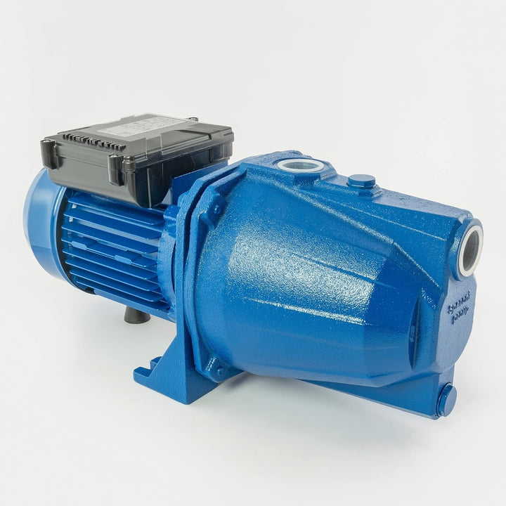 Speroni® Selbstansaugende Elektropumpe CAM 100 V.230 Hz.50