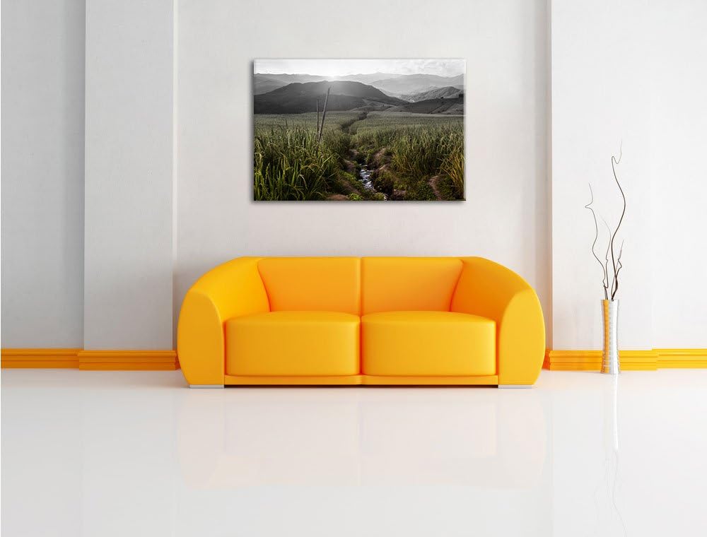 Pixxprint Reisfeld Plantage in Asien als Leinwandbild/Grösse: 100x70 cm/Wandbild/Kunstdruck/fertig b