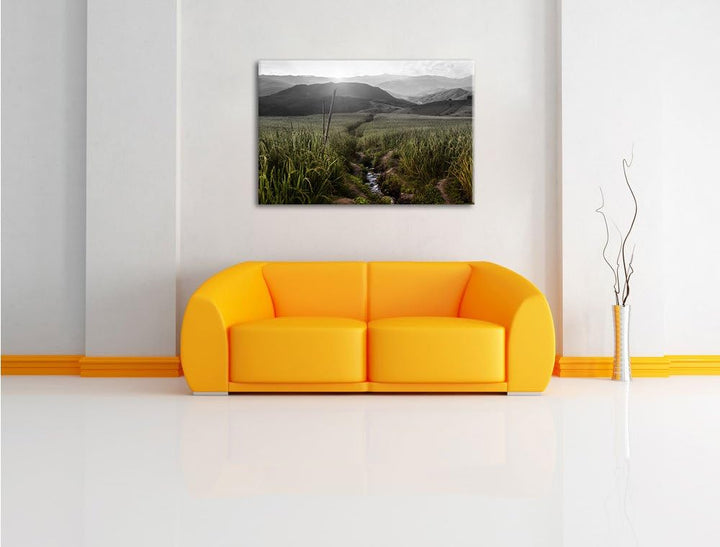 Pixxprint Reisfeld Plantage in Asien als Leinwandbild/Grösse: 100x70 cm/Wandbild/Kunstdruck/fertig b