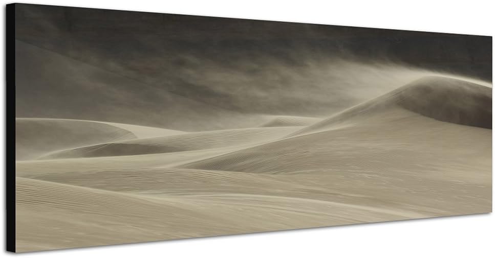 Paul Sinus Art Panoramabild auf Leinwand und Keilrahmen 150x50cm Wüste Sanddüne Wind Dämmerung