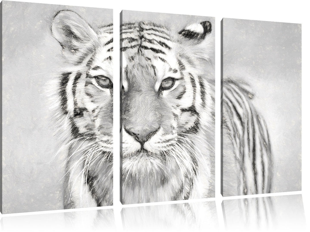 Pixxprint Tiger in als Leinwandbild 3 teilig/Grösse: 3 Teilig (120x80) / Wandbild/Kunstdruck/fertig
