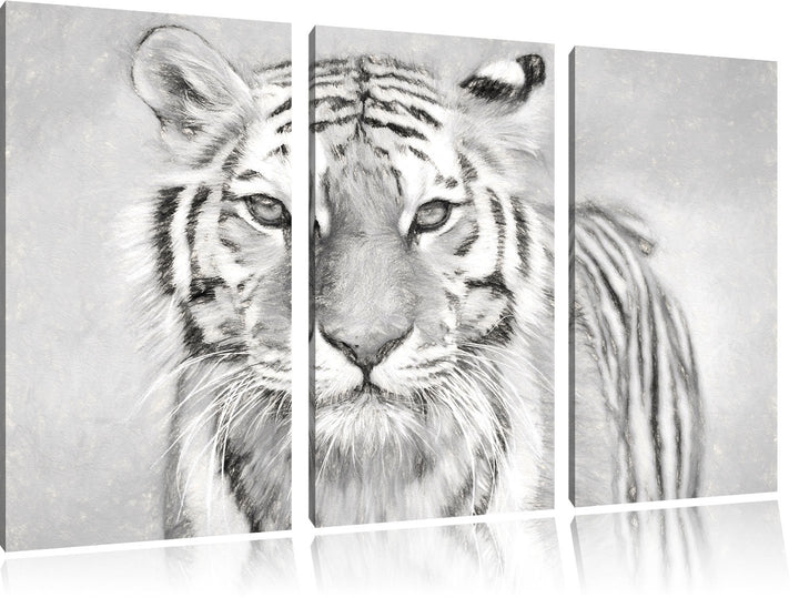 Pixxprint Tiger in als Leinwandbild 3 teilig/Grösse: 3 Teilig (120x80) / Wandbild/Kunstdruck/fertig