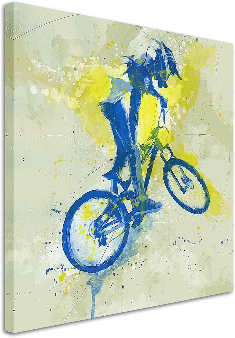 Paul Sinus Art MTB 60x60cm SPORTBILDER Splash Art Wandbild Aquarell Art