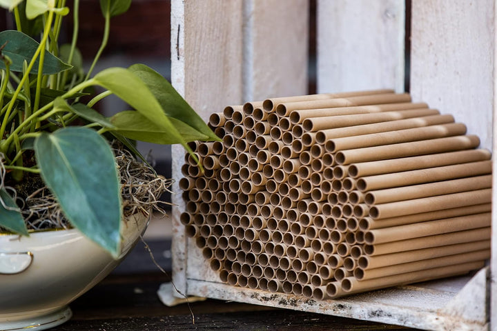 600 Nisthülsen für Wildbienen Insektenhotel Ø 6 mm - Länge 15 cm – Zubehör Füllmaterial Ersatz zum N
