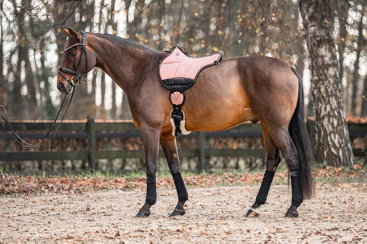 Equinate Reitpad Toledo aus Mikrofaser Rosa - Bareback Pad mit pflegeleichter Neopren Unterseite - R