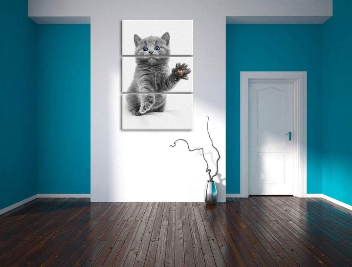 süsse kleine russisch Blau schwarz/weiss 3-Teiler Leinwandbild 120x80 Bild auf Leinwand, XXL riesige