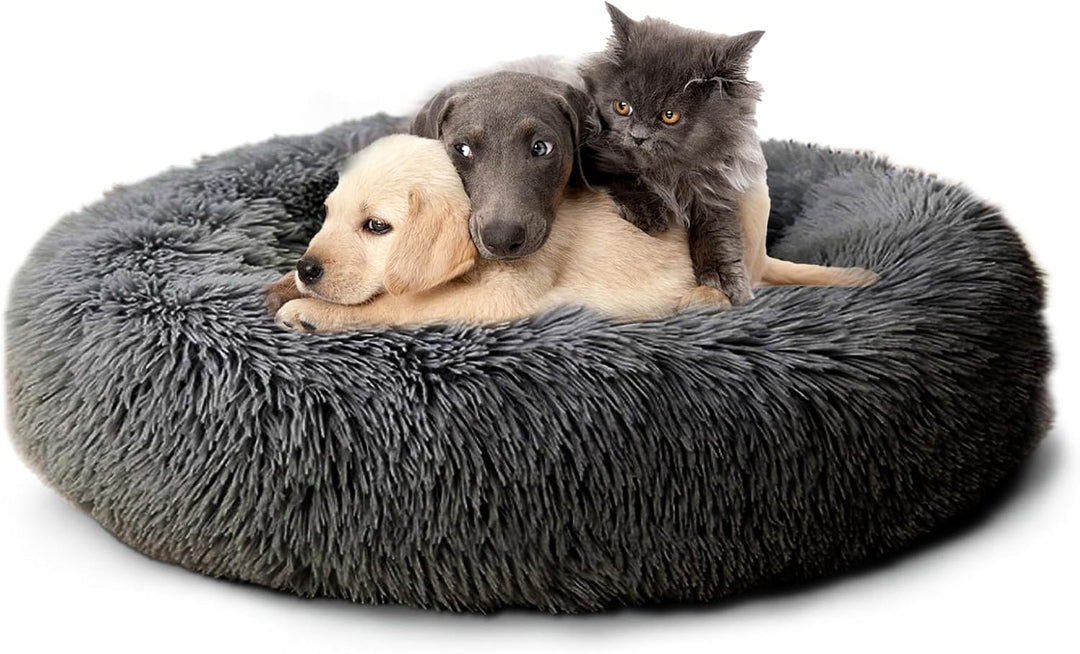 CALIYO Hundebett Grosse Hunde, Katzenbett Flauschig, Katzenkissen Hundekissen Waschbar, Trocknergeei